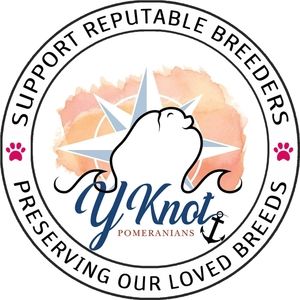 Meet your Posher, Beverly